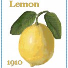 Country Lemon Cross Stitch Pattern Chart Graph