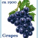 Country Grapes Cross Stitch Pattern Chart Graph