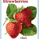 Strawberries Cross Stitch Pattern Chart Graph