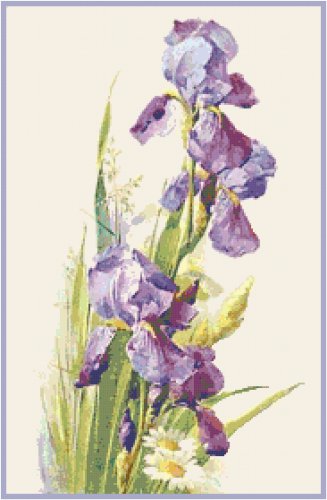 Purple Iris Cross Stitch Pattern Chart Graph