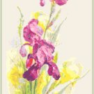 Magenta Iris Cross Stitch Pattern Chart Graph