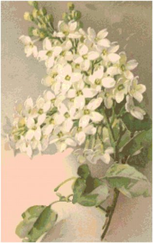 White Lilacs Cross Stitch Pattern Chart Graph by Catherine Klein