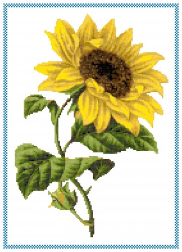 Sunflower Cross Stitch Pattern Chart Graph