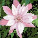 Pink and White Clematis Cross Stitch Pattern Chart Graph Pink and White Clematis Cross Stitch Pattern Chart Graph