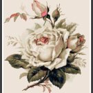 Beautiful White Roses Cross Stitch Pattern Chart Graph