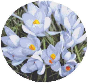 Spring Crocus Cross Stitch Pattern Chart Graph