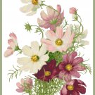 Sweet Summer Cosmos Cross Stitch Pattern Chart Graph