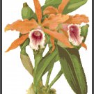 Cattleya Tenebrosa Orchid Cross Stitch Pattern Chart Graph