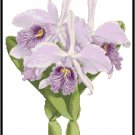Cattleya Maximus Orchid Cross Stitch Pattern Chart Graph
