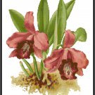 Cattleya Laelia Dayana Orchid Cross Stitch Pattern Chart Graph