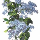 Blue French Lilacs Cross Stitch Pattern Chart Graph