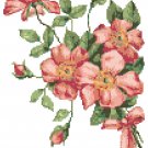 Tussie Mussie Wild Roses Cross Stitch Pattern Chart Graph