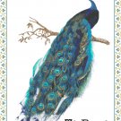 Royal Peacock Cross Stitch Pattern Chart Graph