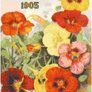D.M. Ferry Vintage Seed Catalog 1905 Back Cover - Petuniaa Cross Stitch Pattern Chart Graph