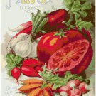 John Salzer Vintage Seed Catalog 1904 Cover Cross Stitch Pattern Chart Graph