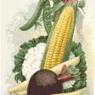 Oshkosh Seed Vintage Seed Catalog Cover Cross Stitch Pattern Chart Graph Oshkosh Seed Vintage Seed Catalog Cover Cross Stitch Pattern Chart Graph