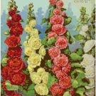 Farquhar's Antique Seed Catalog 1902 Cover - Hollyhocks Cross Stitch Pattern Chart Graph