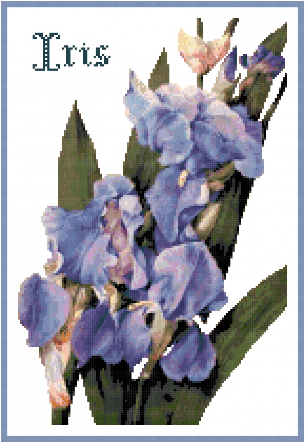 Deep Blue Iris Counted Cross Stitch Pattern Chart Graph