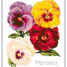 Pert Little Pansies Cross Stitch Pattern Chart Graph