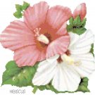 Hibiscus Blossoms Pattern Chart Graph