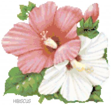 Hibiscus Blossoms Pattern Chart Graph