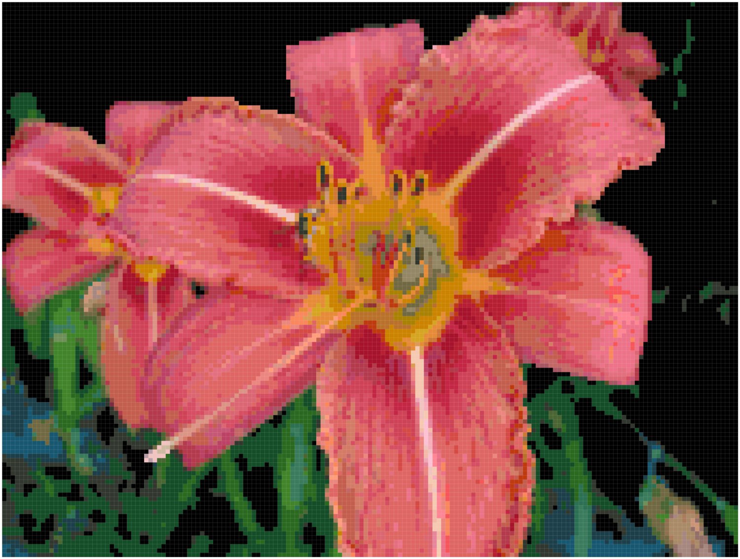 Fascination Daylily Pattern Chart Graph