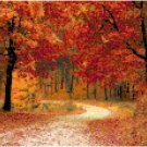 Autumn Walk in the Woods Pattern Chart Graph