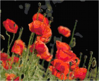Red Beauties (Poppies) Pattern Chart Graph
