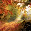 Down an Autumn Lane Pattern Chart Graph