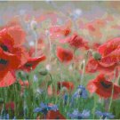 Poppy Field Contempo Pattern Chart Graph