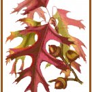 Autumn Oak Leaves Patter Chart Graph