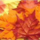 Colorful Fall Maple Leaves Pattern Chart Graph