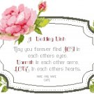 Rose Wedding Wish Sampler Pattern Chart Graph