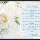 The White Rose Sampler Pattern Chart Graph