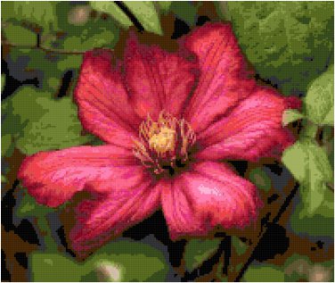 Scarlet Red Clematis Pattern Chart Graph