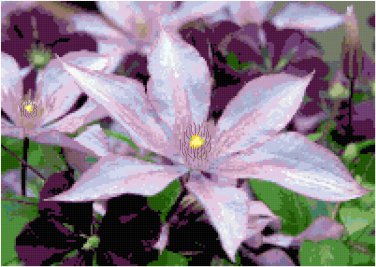 Pale Lavender Clematis Pattern Chart Graph