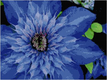Deep Blue Clematis Close Up Pattern Chart Graph