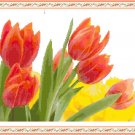 Tulips Among the Daffodils Pattern Chart Graph