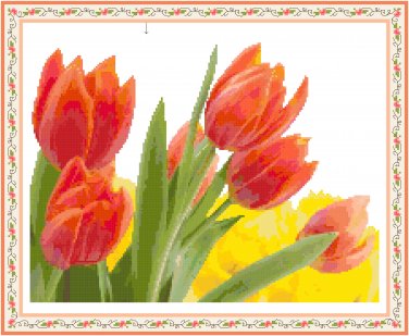 Tulips Among the Daffodils Pattern Chart Graph