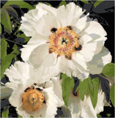 White Peony Blossoms Pattern Chart Graph