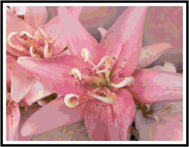 Gorgeous Pink Lilies Pattern Chart Graph