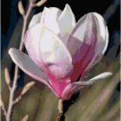 Perfect Magnolia Blossom Pattern Chart Graph