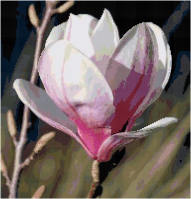 Perfect Magnolia Blossom Pattern Chart Graph