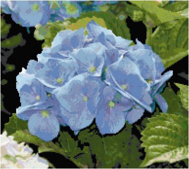 Gorgeous Blue Hydrangea Bloom Pattern Chart Graph