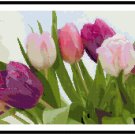 Tulip Fanfare Pattern Chart Graph