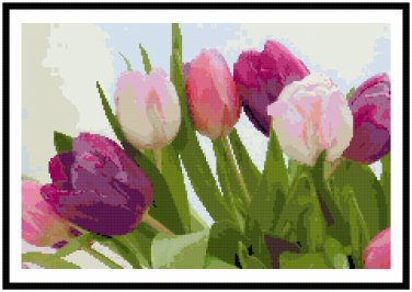 Tulip Fanfare Pattern Chart Graph