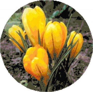 Harbingers of Spring Pattern Chart Graph
