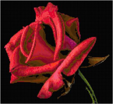 Red Velvet Rose Pattern Chart Graph