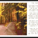 The Road Not Taken w/ poem by Robert Frost Pattern Chart Graph