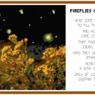 Fireflies in the Garden w/ poem by Robert Frost Pattern Chart Graph Fireflies in the Garden w/ poem by Robert Frost Pattern Chart Graph